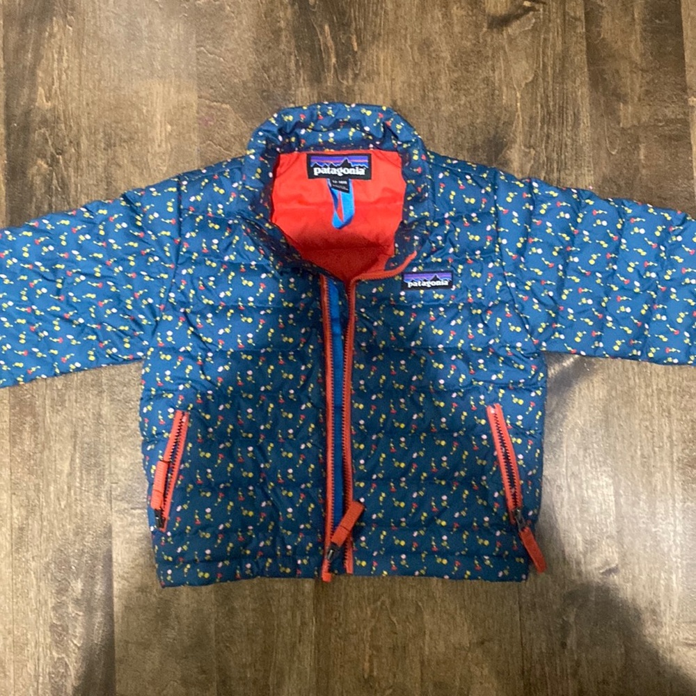 Patagonia baby down sweater hoody size 12-18M